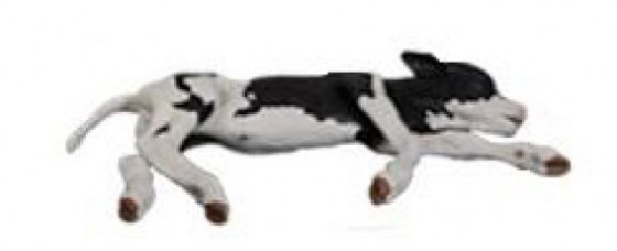 Model telete pro n&aacute;cvik dystokie-2